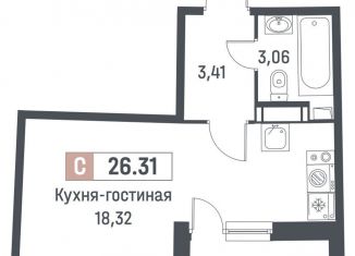 Квартира на продажу студия, 24.8 м2, Мурино