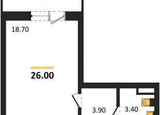 Продам квартиру студию, 26 м2, Новосибирская область, улица Титова, с2