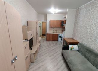 Квартира в аренду студия, 25 м2, Санкт-Петербург, Пулковская улица