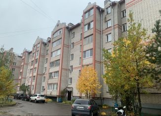 Сдам 1-ком. квартиру, 40 м2, деревня Григорово, Центральная улица, 20