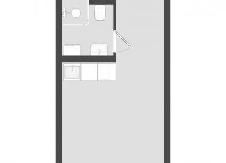 Квартира на продажу студия, 20.5 м2, Санкт-Петербург, метро Московская