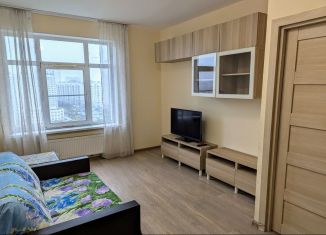 Аренда 1-ком. квартиры, 34 м2, Санкт-Петербург, Союзный проспект, 4, метро Проспект Большевиков