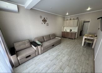 Квартира на продажу студия, 25 м2, Краснодарский край, Таманская улица, 121к12