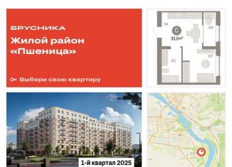 Продажа квартиры студии, 33 м2, Новосибирская область