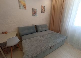 Сдается в аренду квартира студия, 28 м2, Анапа, Парковая улица, 67к1