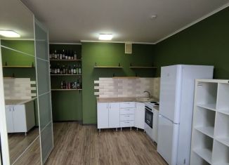 Квартира в аренду студия, 28 м2, Анапа, Супсехское шоссе, 26к9