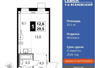 Продается квартира студия, 29.5 м2, деревня Румянцево, СНТ Гипрохим, 1Ас1