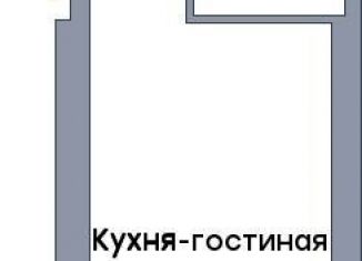 Продам квартиру студию, 29 м2, Самара, Куйбышевский район