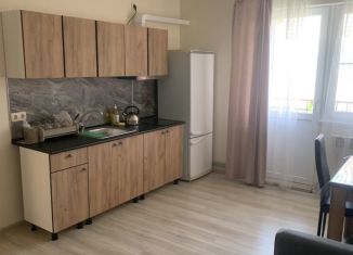 Сдача в аренду 1-ком. квартиры, 40 м2, Сочи, улица Дзержинского, 3, микрорайон Голубые Дали