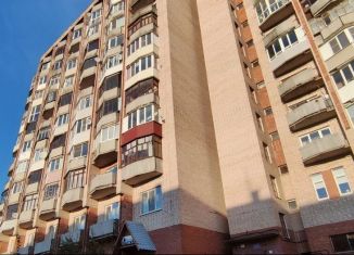 Продажа двухкомнатной квартиры, 42 м2, Шлиссельбург, улица Староладожский Канал, 1