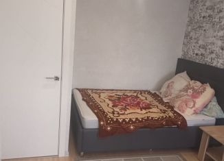 Сдается 1-ком. квартира, 30 м2, Рязань, улица Тимакова, 10, Октябрьский район