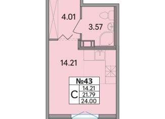 Продается квартира студия, 24 м2, деревня Скотное