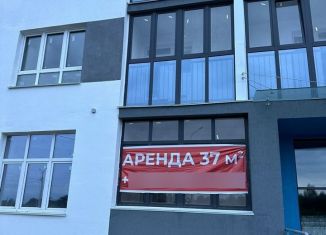 Офис в аренду, 38 м2, Уфа, Ленинский район, проспект Дружбы Народов, 61