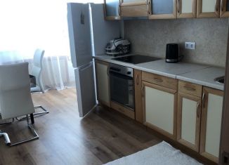 1-ком. квартира в аренду, 38 м2, деревня Голубое, Парковый бульвар, 5Б, ЖК Зеленоградский