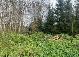 Продажа участка, 11 сот., деревня Заборное, Центральная улица