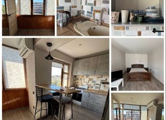 Сдается 1-комнатная квартира, 30 м2, Сочи, улица Молокова, 30, микрорайон Черемушки