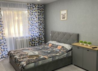 2-ком. квартира в аренду, 44 м2, Озёрск, улица Семёнова, 15