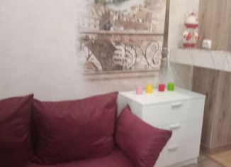 Сдается в аренду 1-комнатная квартира, 21 м2, Сочи, садоводческое товарищество Лысая Гора, 88/2В, микрорайон Светлана