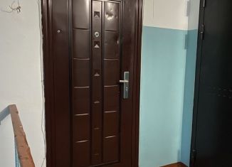 Продажа 2-ком. квартиры, 48.7 м2, Благовещенск, квартал Литер, 24