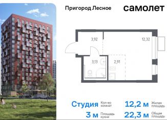 Продам квартиру студию, 22.3 м2, Московская область, микрорайон Пригород Лесное, к14.1