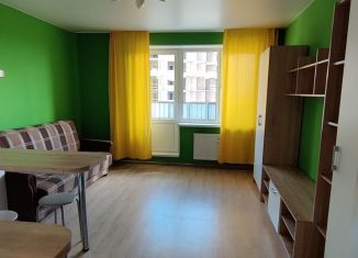 Квартира в аренду студия, 25 м2, Санкт-Петербург, Валдайская улица, 1