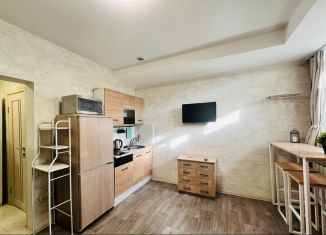 Сдам в аренду квартиру студию, 25 м2, Москва, Автозаводская улица, 19к1, метро ЗИЛ