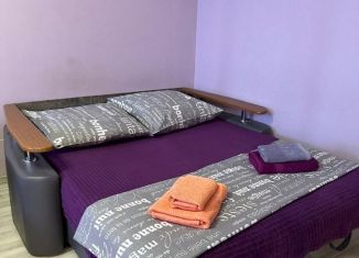 Сдам в аренду квартиру студию, 33 м2, Раменское, улица Чугунова, 15А