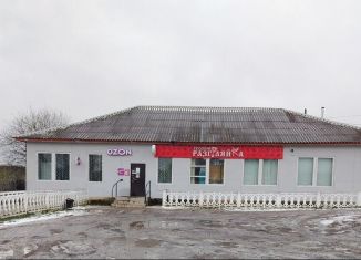 Продам торговую площадь, 263 м2, Красноярский край, улица Мира, 11