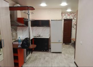 Сдаю в аренду квартиру студию, 24 м2, Удмуртия, улица Ленина, 93