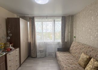 Продам квартиру студию, 16.9 м2, Курганская область, улица Карла Маркса, 82