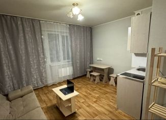 Сдается в аренду квартира студия, 24 м2, Красноярский край, улица Чернышевского, 110