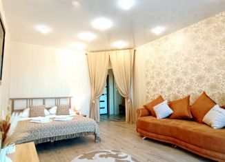 1-комнатная квартира в аренду, 44 м2, Хабаровск, улица Морозова Павла Леонтьевича, 91