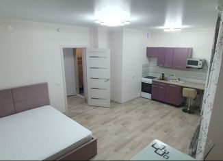 Сдается квартира студия, 35 м2, Новосибирск, улица Бородина, 54