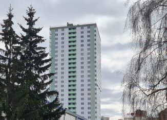 Продается квартира студия, 31 м2, Новосибирск, метро Маршала Покрышкина, улица Дуси Ковальчук, 378Б