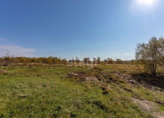 Продается участок, 8 сот., село Краснореченское