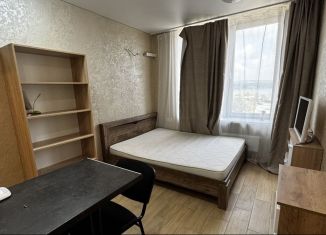 Сдается квартира студия, 25 м2, Симферополь, улица Беспалова, 110М