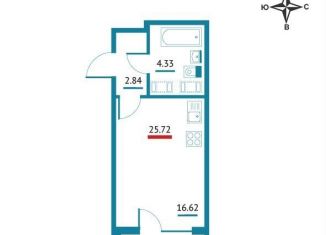 Продаю квартиру студию, 25.7 м2, Мурино