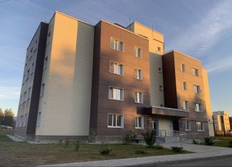 Продаю 4-комнатную квартиру, 118 м2, деревня Болтино, улица Баздырева, 2