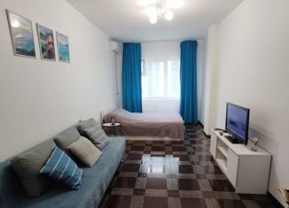 Сдается 1-ком. квартира, 44 м2, Саха (Якутия), проспект Ленина, 56