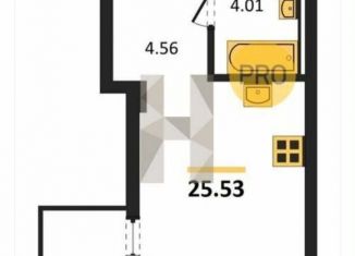 Продажа квартиры студии, 25.5 м2, Екатеринбург