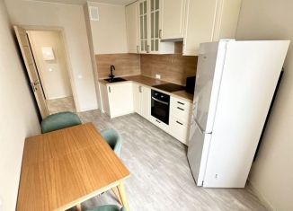 1-комнатная квартира в аренду, 45 м2, Ленинградская область, проспект Карла Маркса, 39