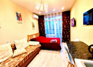 Сдается в аренду квартира студия, 26 м2, Воронеж, набережная Максима Горького, 49Б, Центральный район