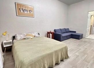 Сдается 1-ком. квартира, 30 м2, Ленинградская область, проспект Суворова, 13