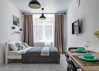 Однокомнатная квартира в аренду, 20 м2, Московская область