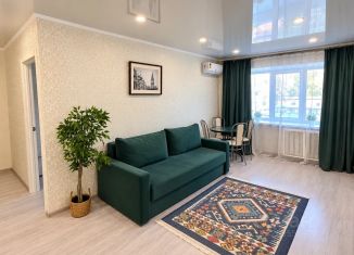 Сдаю в аренду двухкомнатную квартиру, 45 м2, Татарстан, улица Татарстан, 72