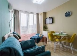 Сдается в аренду 1-ком. квартира, 20 м2, Сочи, улица Чкалова, 13, микрорайон Чкаловский