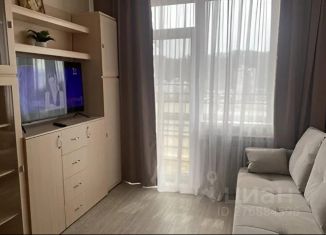 1-ком. квартира в аренду, 33 м2, Краснодарский край, Апшеронская улица, 11Б