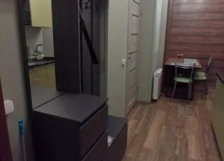 Сдается 1-комнатная квартира, 26 м2, Ленинградская область, проспект Ленина, 20