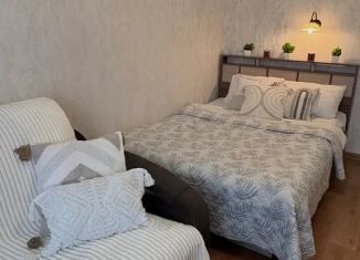 1-ком. квартира в аренду, 40 м2, село Дивеево, улица Строителей, 1А