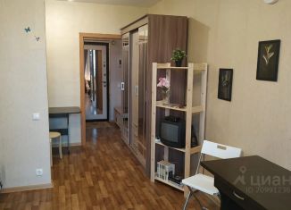 Сдача в аренду квартиры студии, 23 м2, Ленинградская область, Школьная улица, 6к2